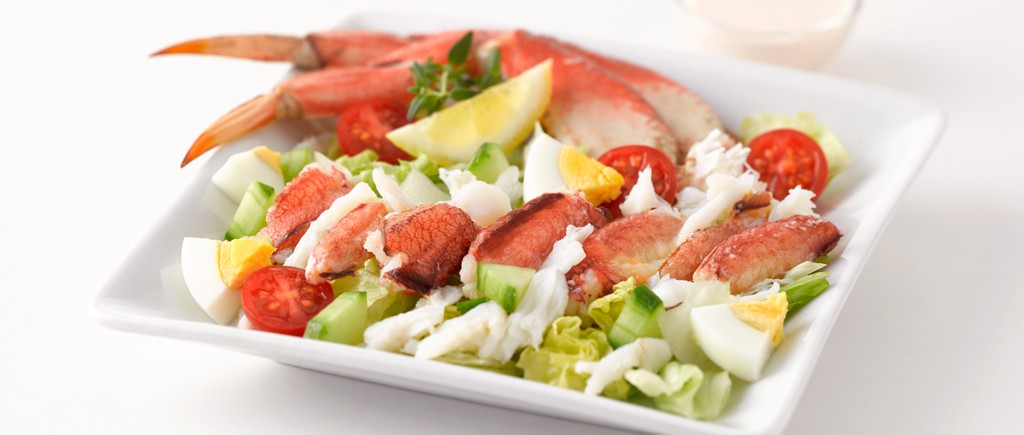 dungeness crab : harbor seafood